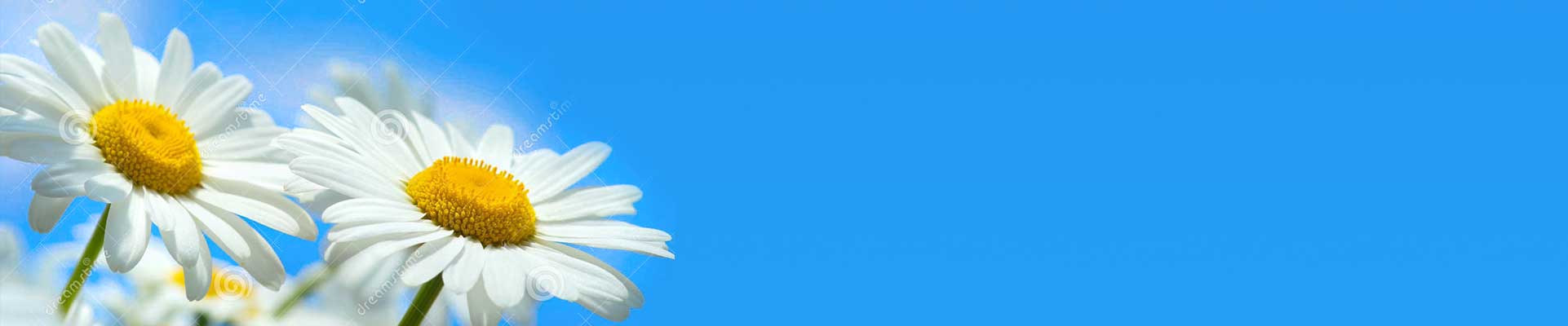 positive-psychology photo banner